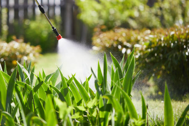 24/7 Emergency Mosquito Control experts in Gregory, SD